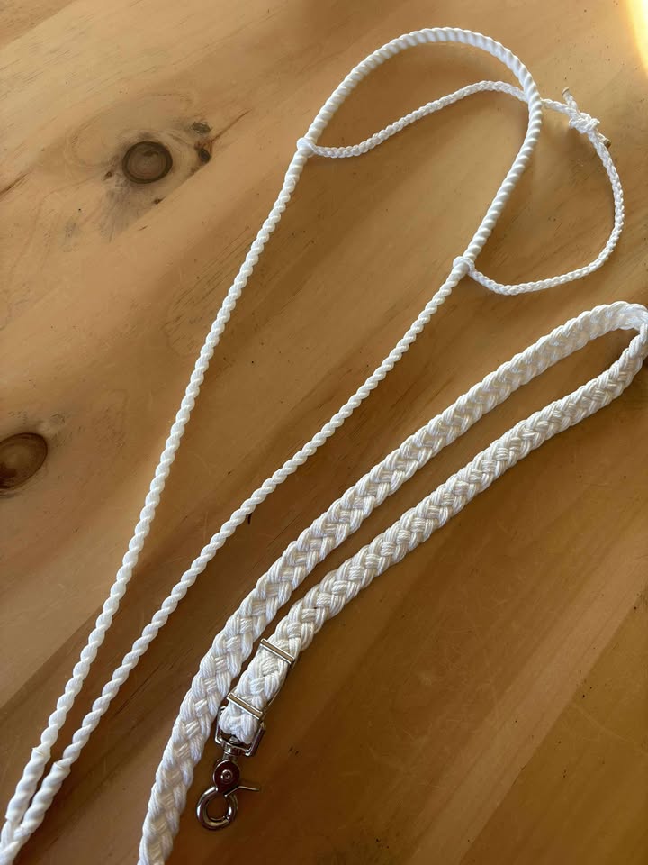 The Browband - Magic Tiedown