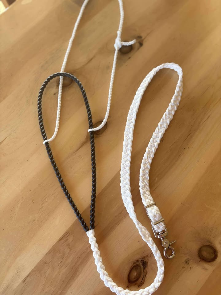 Magic Tiedown - "Liza" version