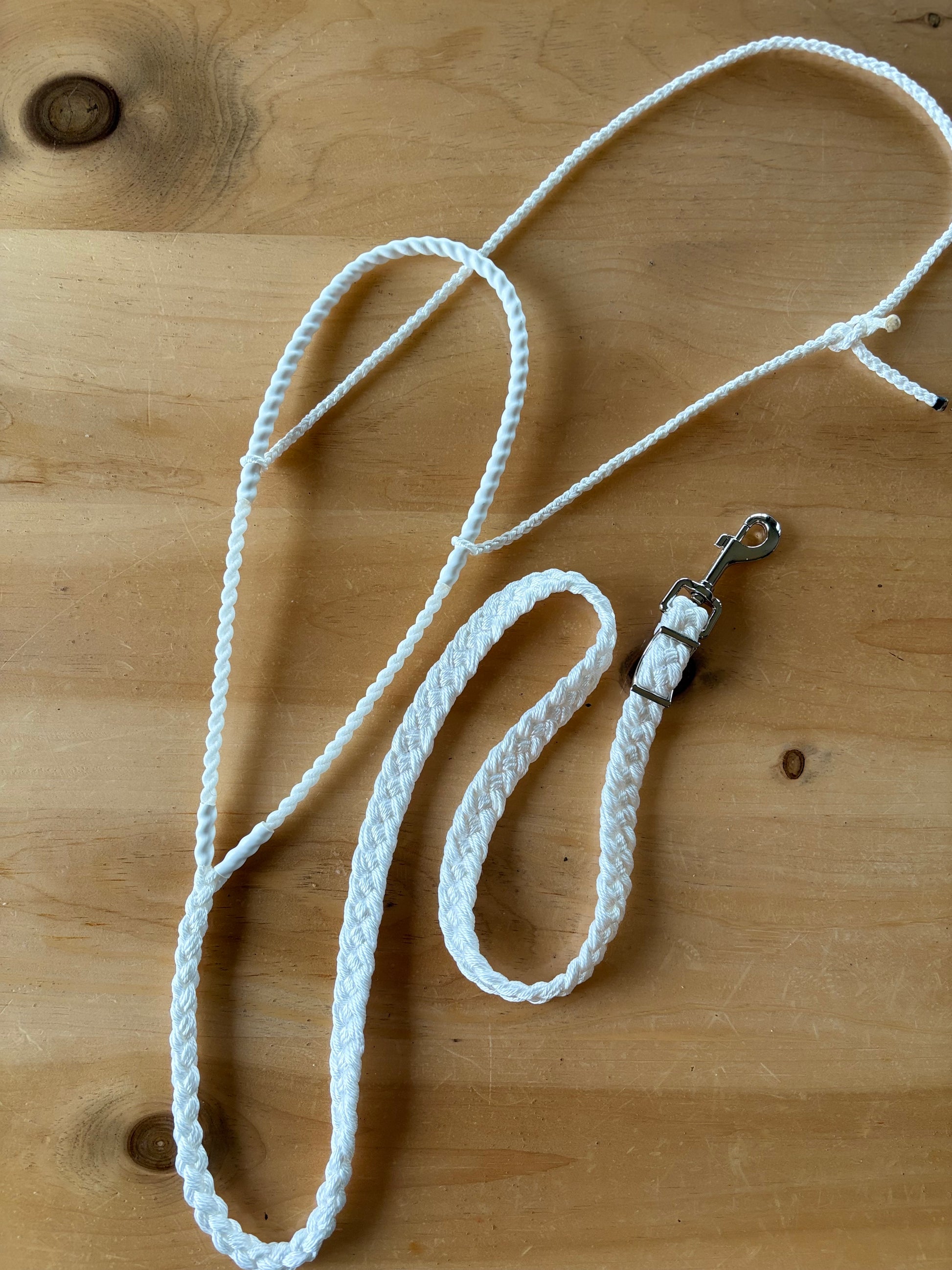 Magic Tiedown -  "Sue" version