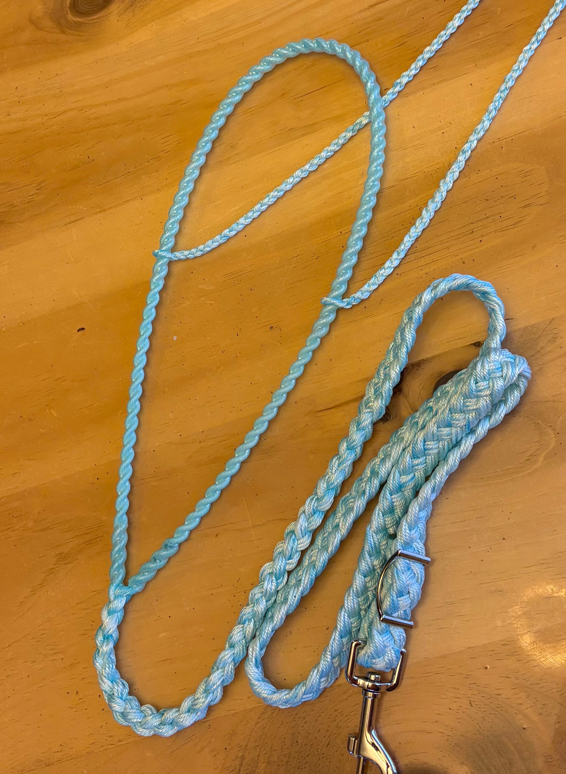 Magic Tiedown -  "Sue" version