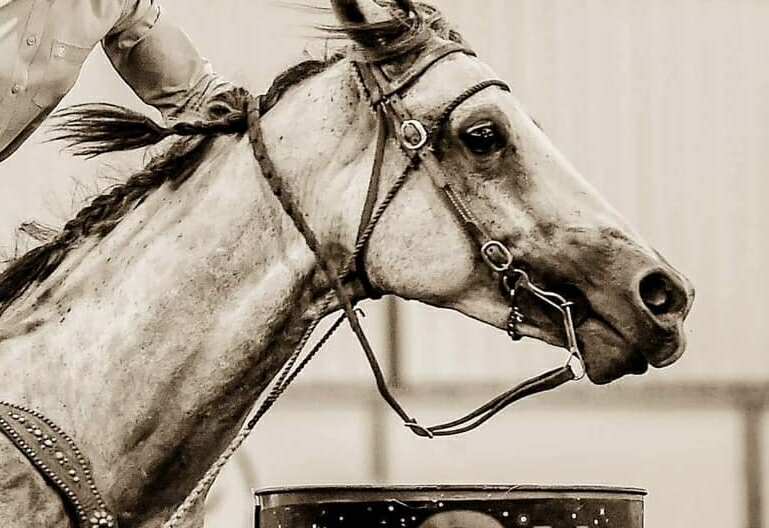 The Browband - Magic Tiedown